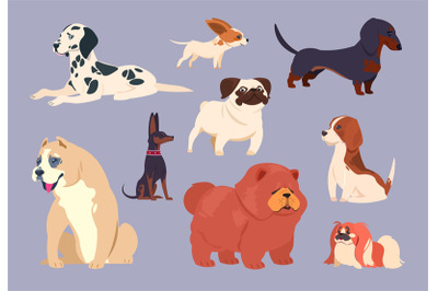 Cartoon dogs. Puppy pet different breeds. Chow chow, dachshund and dal