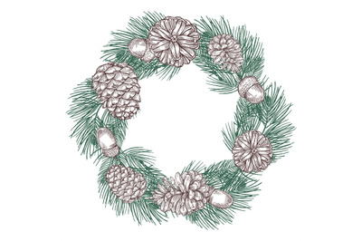 Green spruce branches wreath with cones vector illustration