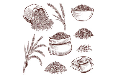 Hand drawn rice. Doodle sack and. Sketch rice ears vector set