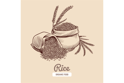 Rice background. Hand drawn bowl with rice grains and ears. Japanese f