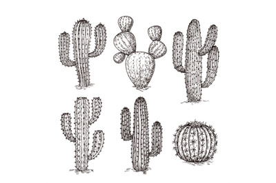 Sketch cactus. Hand drawn desert cactuses. Vintage engraving western m