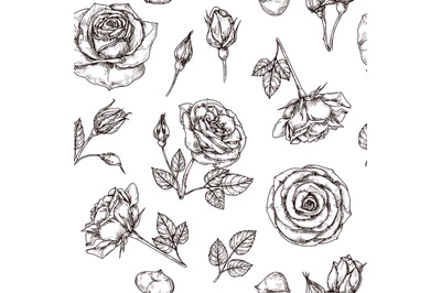 Roses seamless pattern. Hand drawn rose floral textere. Flower fabric