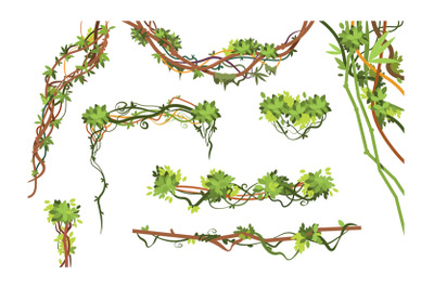 Jungle vine branches. Cartoon hanging liana plants. Jungle climbing gr