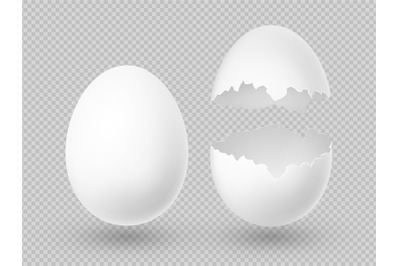 Realistic vector white eggs with whole and broken shell isolated