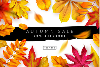 Autumn sale. Seasonal fall discount advertising concept with red and o