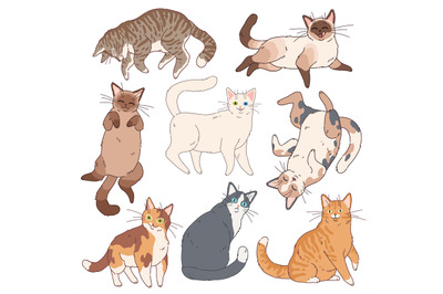 Cartoon cats. Cute kittens different colours&2C; funny lazy cat. Adorable