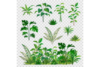 Green herbal elements. Decorative beauty nature ferns and leaf plants