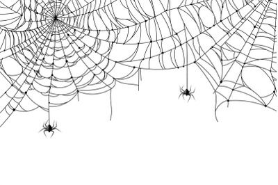 Cobweb background. Scary spider web with spooky spider, creepy arthrop