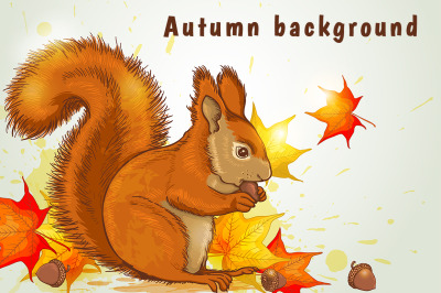 Autumn Background with Squirrel