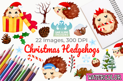 Christmas Hedgehogs Watercolor Clipart, Instant Download