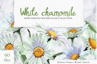 White chamomile flowers watercolor png