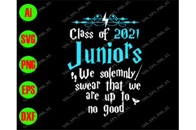 Class of 2021 Juniors we solemnly swear that we are up to no good svg&2C;