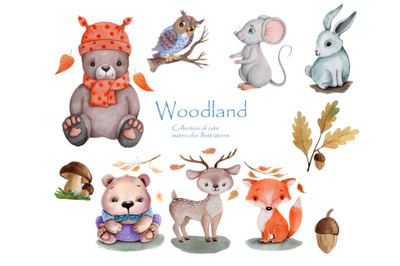 Woodland. Collection of cute cartoon watercolor wild animals.