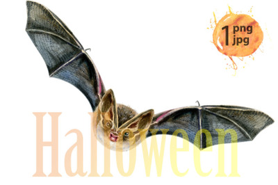 Watercolor illustration of a bat