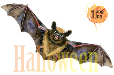 Watercolor illustration of a bat in white background.