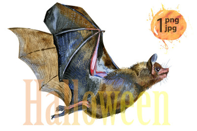 Watercolor illustration of a bat in white background.