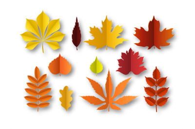 Paper autumn leaves. Beautiful fall colourful foliage. Orange, red and