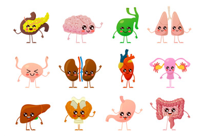 Internal organs. Human smiling brain, bladder and stomach, kidneys and