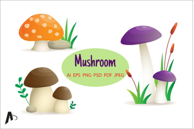 Mushroom set, different mushroom Illustration.