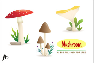Different kinds of mushroom illustration.