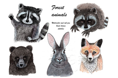 Forest animals sketches