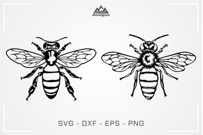 Bee Insect Svg Design