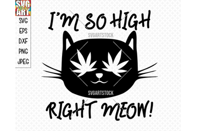 I&#039;m so high right meow