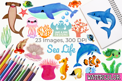 Sea Life Watercolor Clipart, Instant Download Vector Art