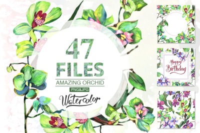 Orchid green flowers PNG watercolor set