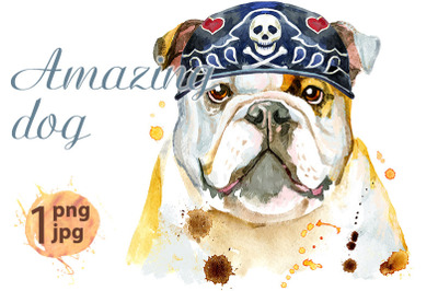 Watercolor portrait of bulldog wearing biker bandana