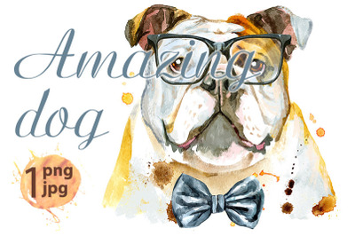 Watercolor portrait of bulldog with bow-tie and glasses