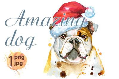 Watercolor portrait of bulldog with Santa hat