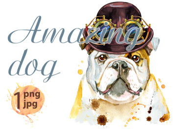 Watercolor portrait of bulldog with hat bowler and steampunk glasses