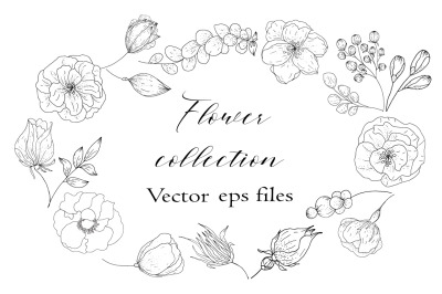 Vector flower collection