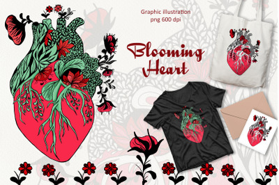 Anatomical Blooming Heart 600dpi