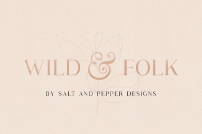 Wild &amp; Folk Serif Font