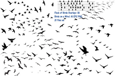 Flock of Birds Overlay AI EPS PNG