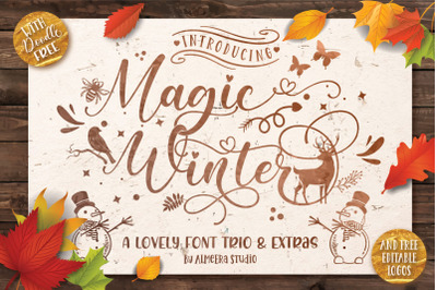 Magic Winter Font Trio &amp; Extras