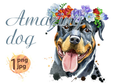 Watercolor portrait of rottweiler in a wreath of freesia