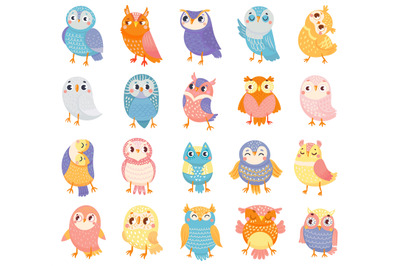 Cartoon owl. Cute color owls, forest birds and hand drawn baby owl vec