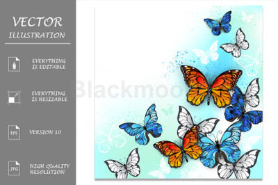 Flock of Multicolor Butterflies