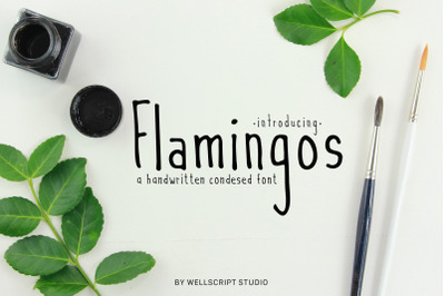 Flamingos - A Handwritten Condesed Font