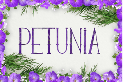 Petunia - Tall and Elegant Font