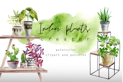 Indoor plants. Watercolor clipart