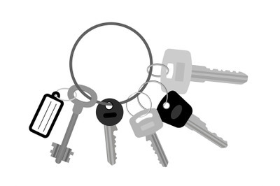 Key set with keyring