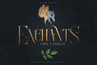 Enchants - Magical font + Extras