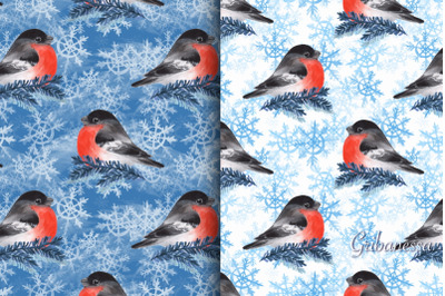 Winter patterns with bullfinch birds