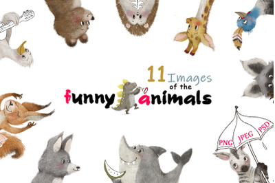 the funny animals