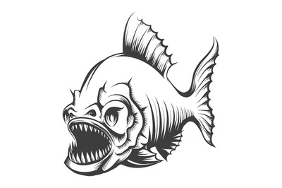 Piranha Fish Engraving Illustration