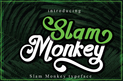 Slam Monkey